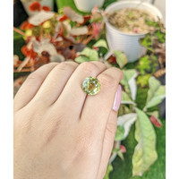 6.63 Ct. Yellowish Green Prasiolite from Brazil Life Style