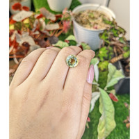 5.19 Ct. Yellowish Green Prasiolite from Brazil Life Style