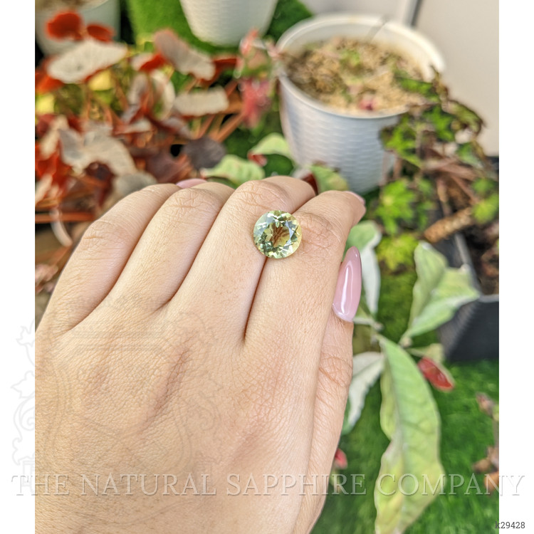 5.19 Ct. Yellowish Green Prasiolite from Brazil