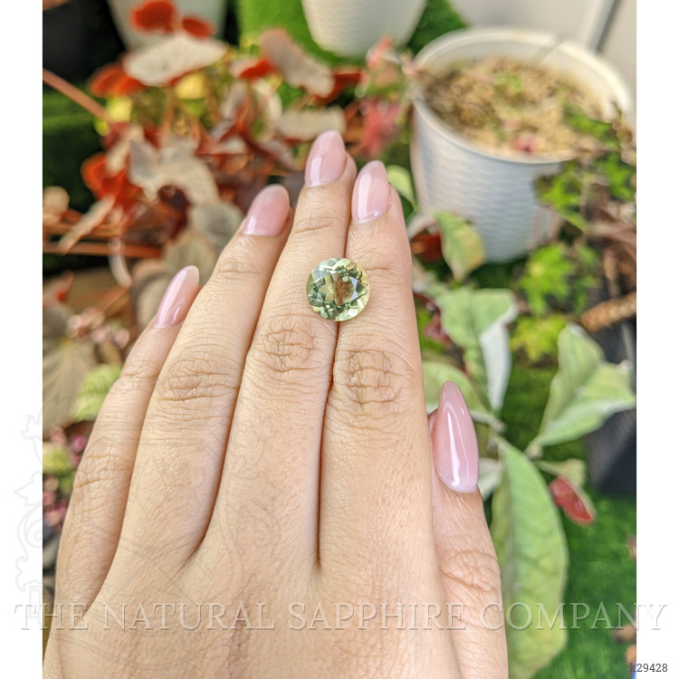 5.19 Ct. Yellowish Green Prasiolite from Brazil