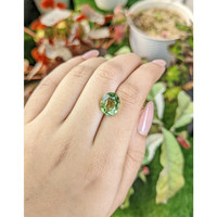 4.60 Ct. Yellowish Green Prasiolite from Brazil Life Style