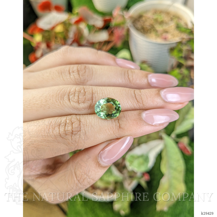 4.60 Ct. Yellowish Green Prasiolite from Brazil