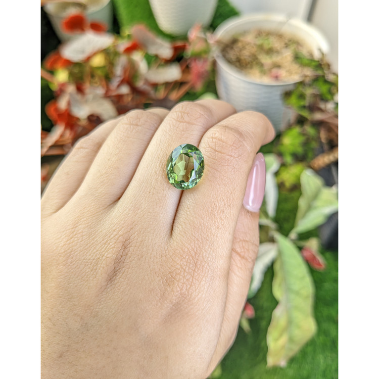 6.96 Ct. Green Prasiolite from Brazil