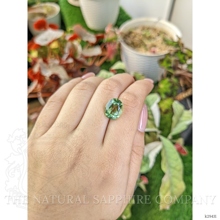 5.96 Ct. Green Prasiolite from Brazil
