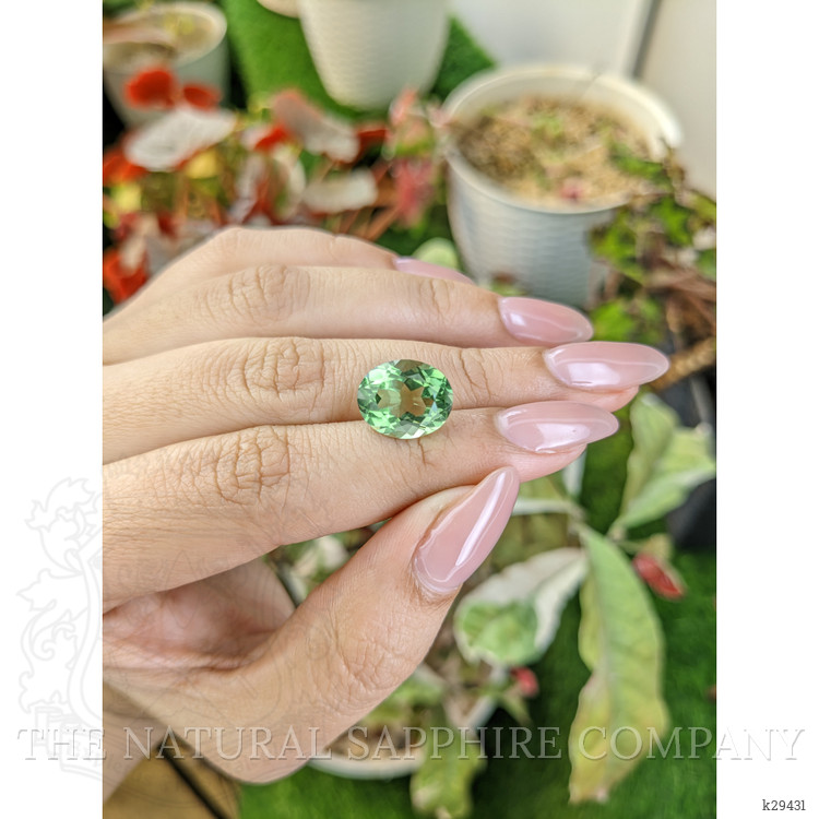 5.96 Ct. Green Prasiolite from Brazil