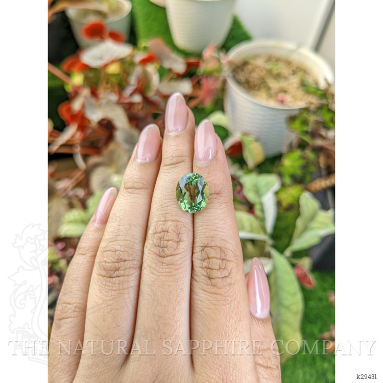 5.96 Ct. Green Prasiolite from Brazil