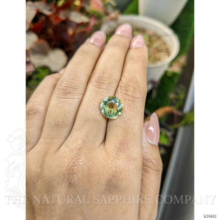 4.89 Ct. Yellowish Green Prasiolite from Brazil