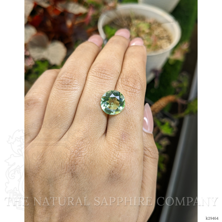 6.11 Ct. Yellowish Green Prasiolite from Brazil