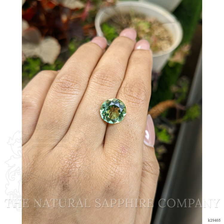 5.84 Ct. Yellowish Green Prasiolite from Brazil