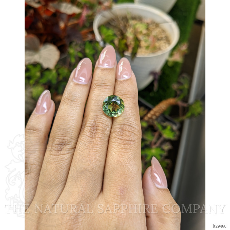 6.02 Ct. Green Prasiolite from Brazil