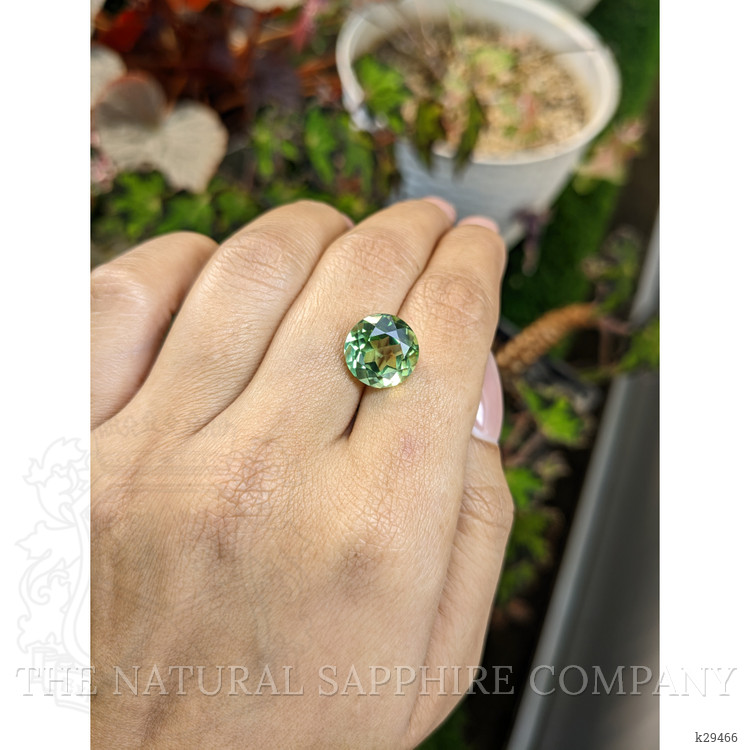 6.02 Ct. Green Prasiolite from Brazil