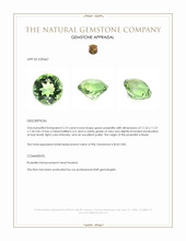 5.10 Ct. Green Prasiolite from Brazil Appraisal