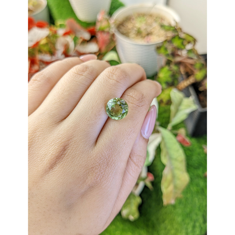 5.01 Ct. Yellowish Green Prasiolite from Brazil