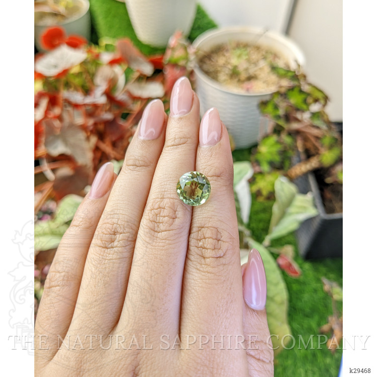 5.01 Ct. Yellowish Green Prasiolite from Brazil