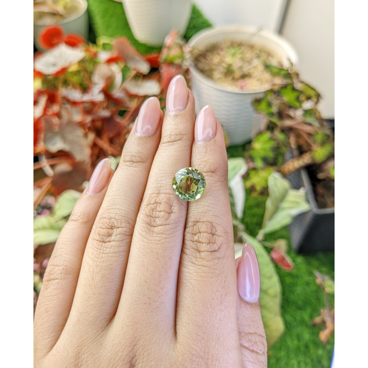 5.01 Ct. Yellowish Green Prasiolite from Brazil