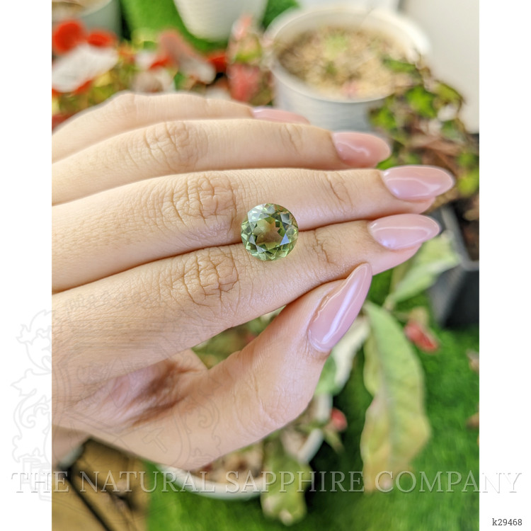 5.01 Ct. Yellowish Green Prasiolite from Brazil