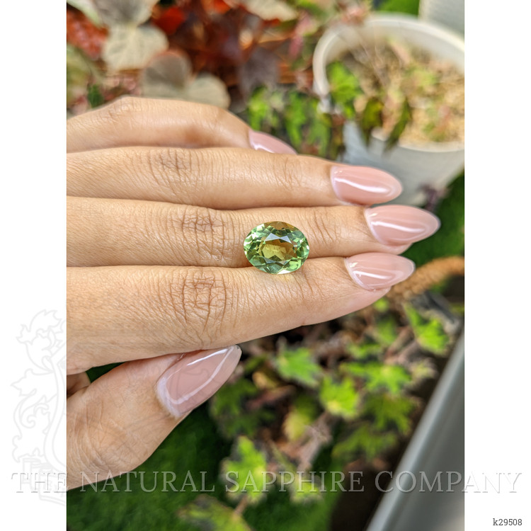 6.07 Ct. Yellowish Green Prasiolite from Brazil