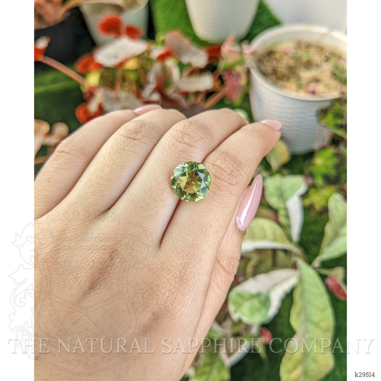5.74 Ct. Green Prasiolite from Brazil