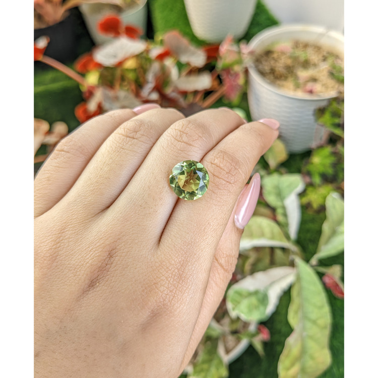 5.74 Ct. Green Prasiolite from Brazil