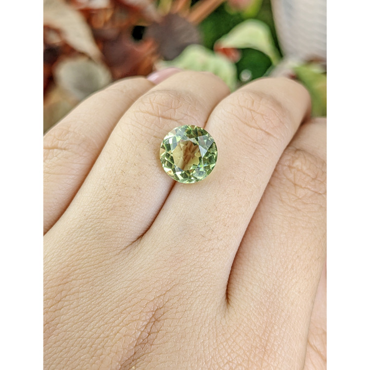 4.83 Ct. Yellowish Green Prasiolite from Brazil