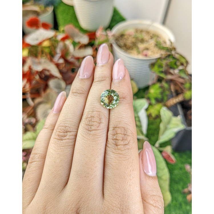 4.83 Ct. Yellowish Green Prasiolite from Brazil