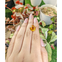 6.50 Ct. Orangish Yellow Citrine from Brazil Life Style