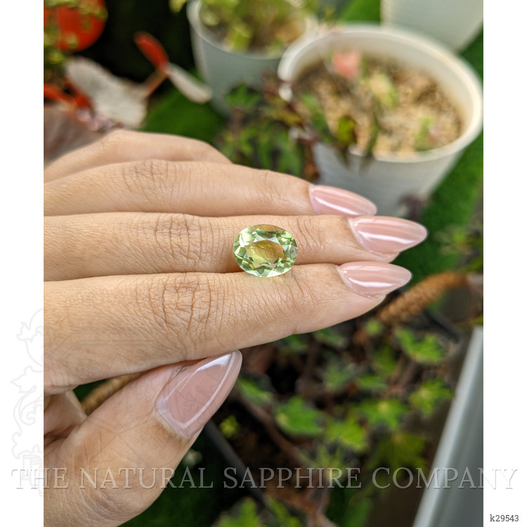 5.51 Ct. Yellowish Green Prasiolite from Madagascar