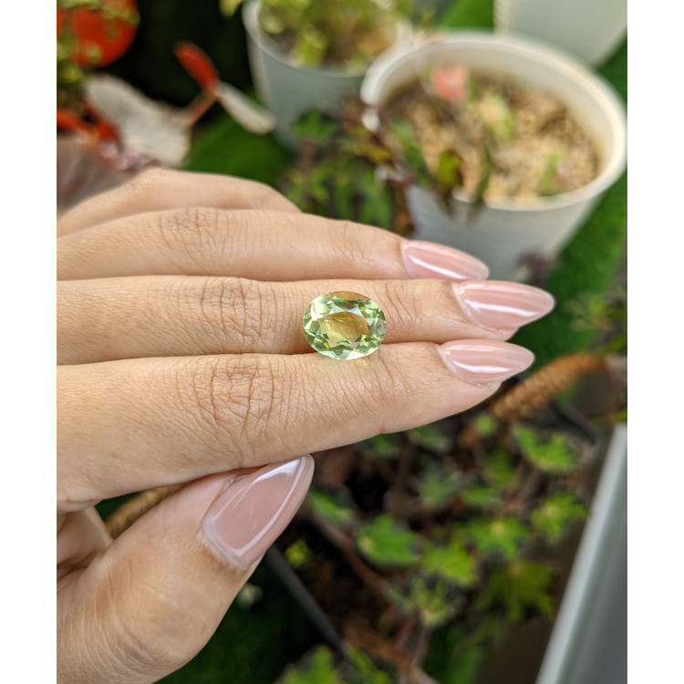 5.51 Ct. Yellowish Green Prasiolite from Madagascar