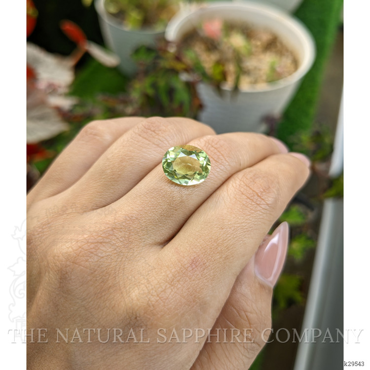 5.51 Ct. Yellowish Green Prasiolite from Madagascar