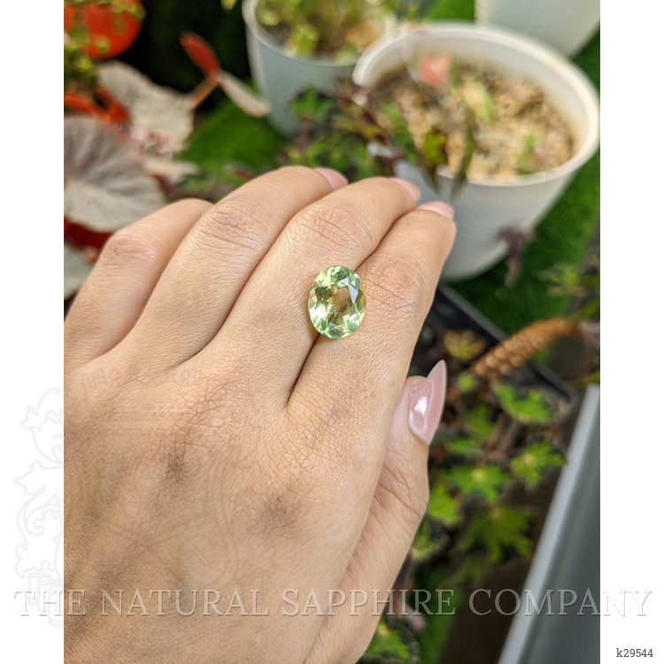 5.72 Ct. Yellowish Green Prasiolite from Brazil