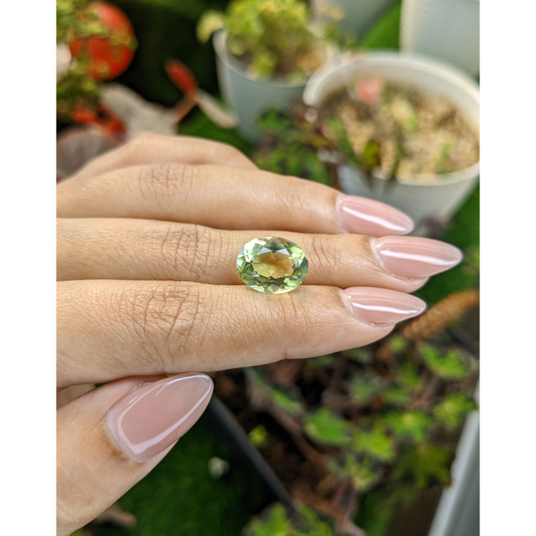 5.72 Ct. Yellowish Green Prasiolite from Brazil