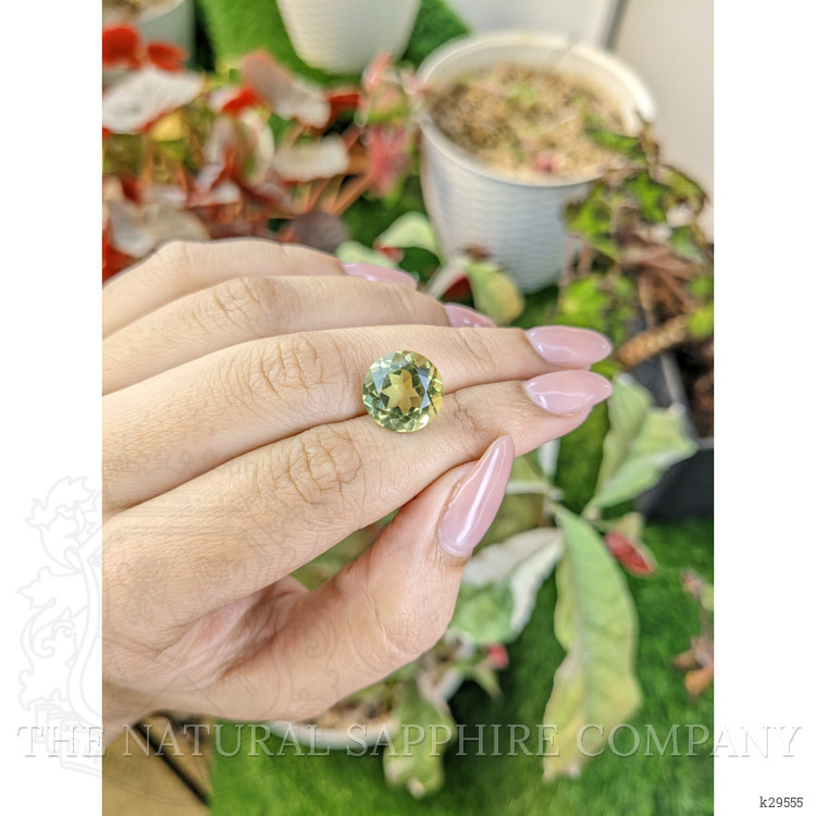 6.27 Ct. Yellowish Green Prasiolite from Brazil
