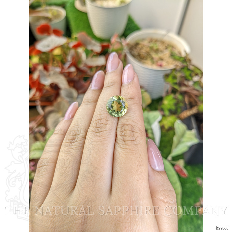 6.27 Ct. Yellowish Green Prasiolite from Brazil