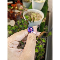 5.95 Ct. Purple Amethyst from Brazil Life Style