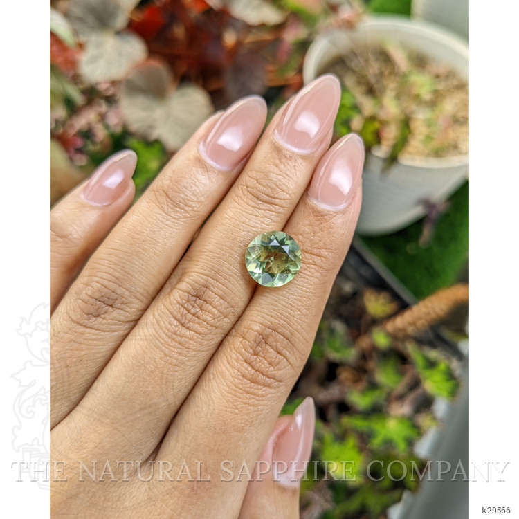 4.15 Ct. Yellowish Green Prasiolite from Brazil
