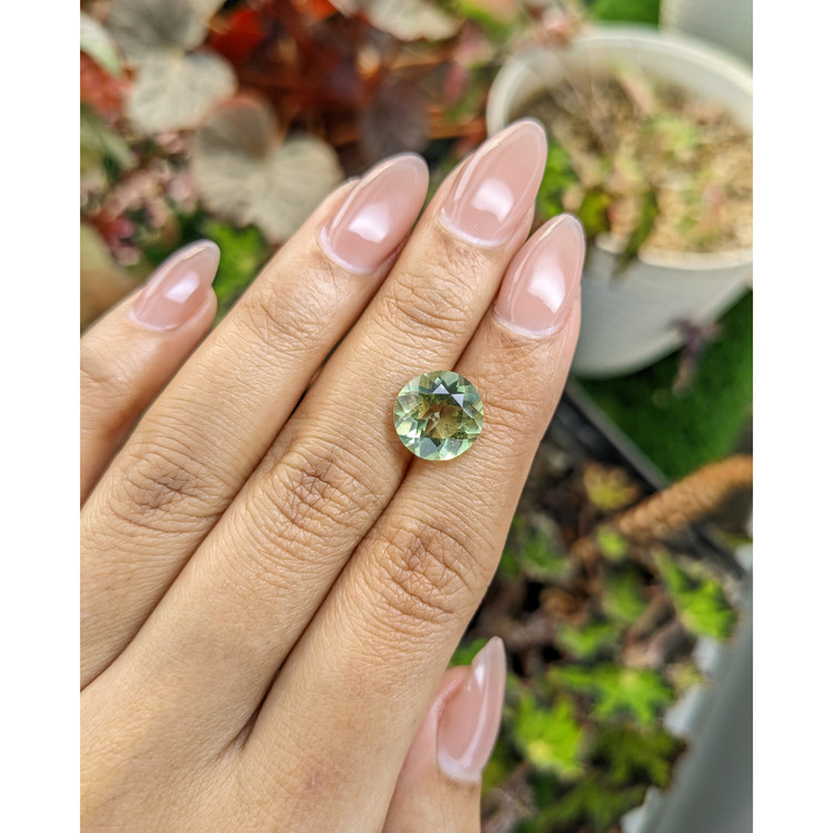 4.15 Ct. Yellowish Green Prasiolite from Brazil