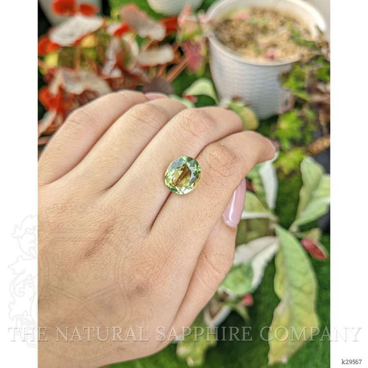 5.40 Ct. Yellowish Green Prasiolite from Brazil