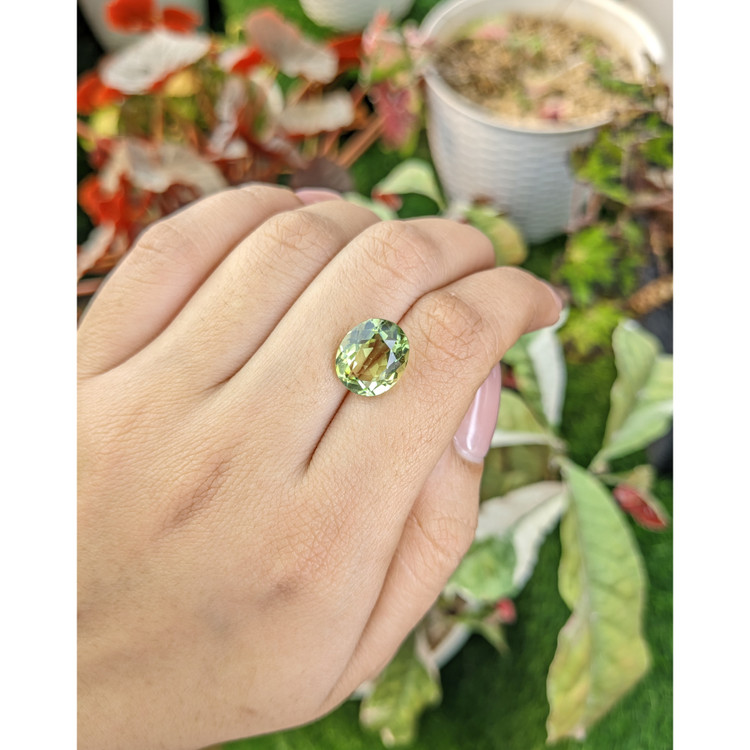 5.40 Ct. Yellowish Green Prasiolite from Brazil