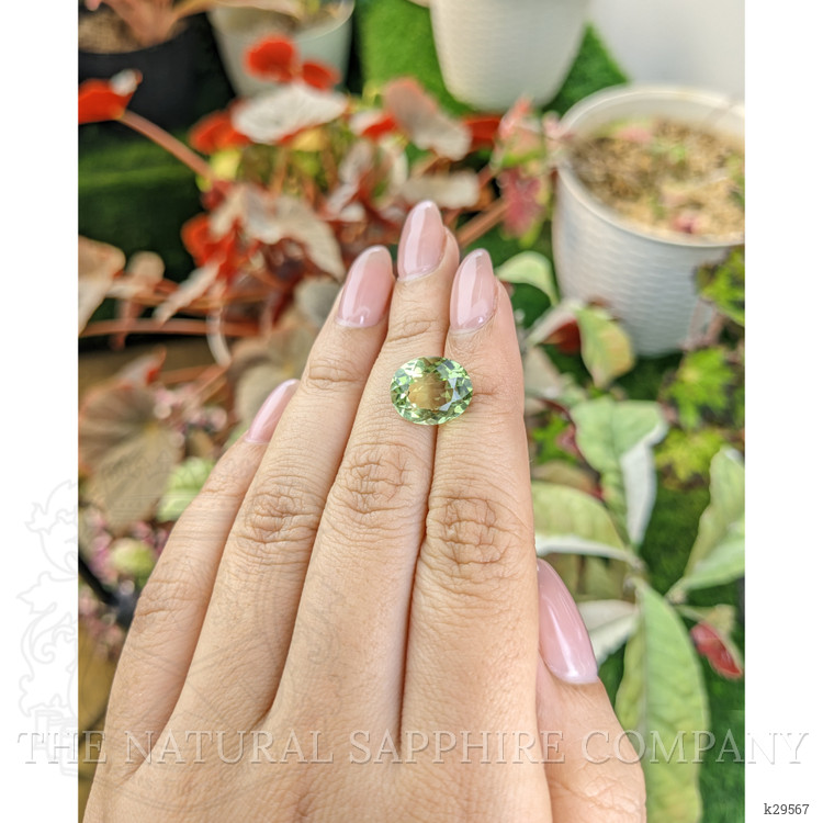 5.40 Ct. Yellowish Green Prasiolite from Brazil