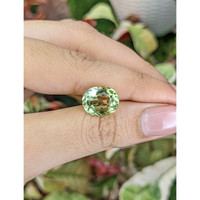 5.40 Ct. Yellowish Green Prasiolite from Brazil Life Style