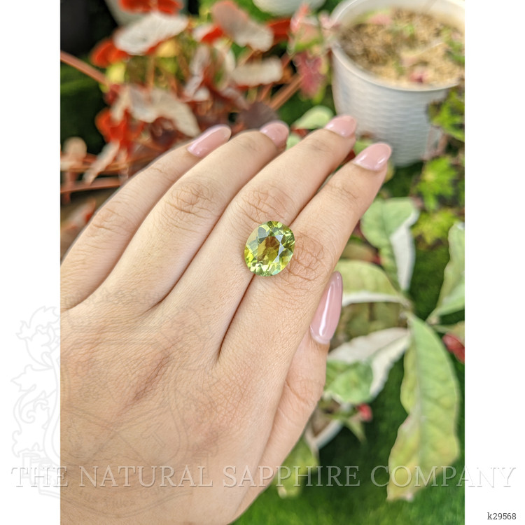 6.49 Ct. Yellowish Green Prasiolite from Brazil