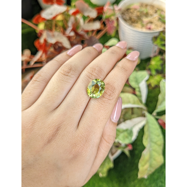 6.49 Ct. Yellowish Green Prasiolite from Brazil