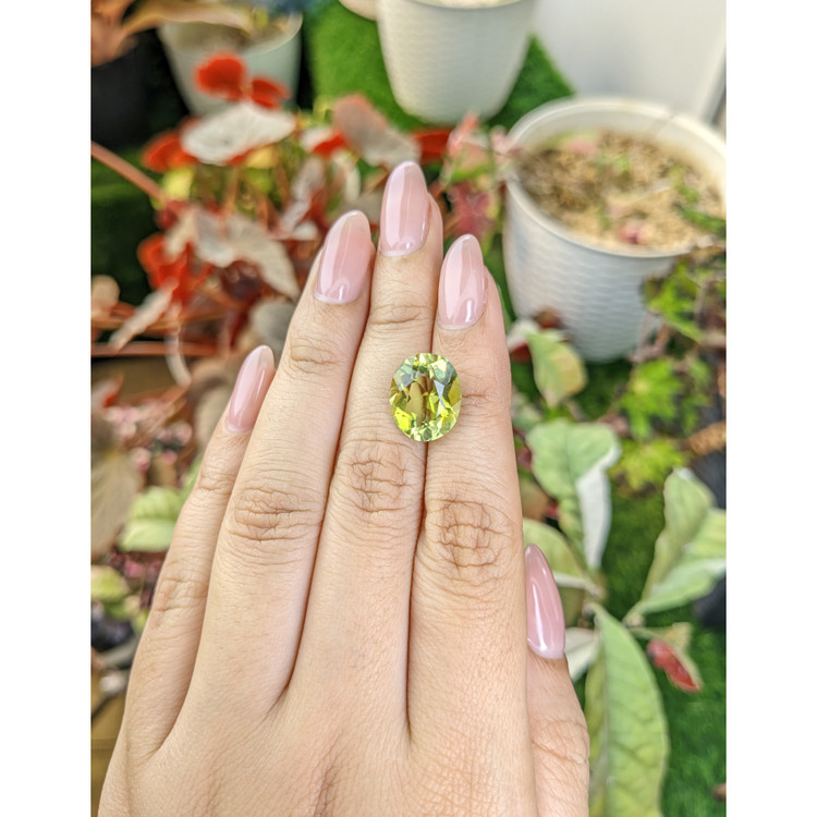 6.49 Ct. Yellowish Green Prasiolite from Brazil