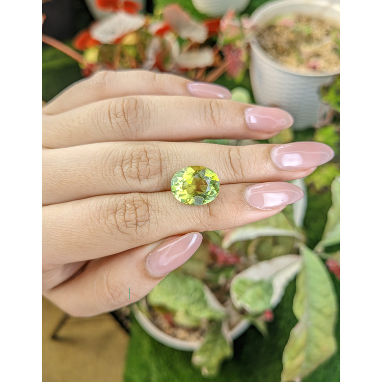 6.49 Ct. Yellowish Green Prasiolite from Brazil