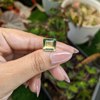 6.75 Ct. Yellowish Green Prasiolite from Brazil Life Style
