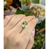 5.35 Ct. Yellowish Green Prasiolite from Brazil Life Style