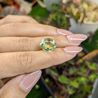 5.35 Ct. Yellowish Green Prasiolite from Brazil Life Style