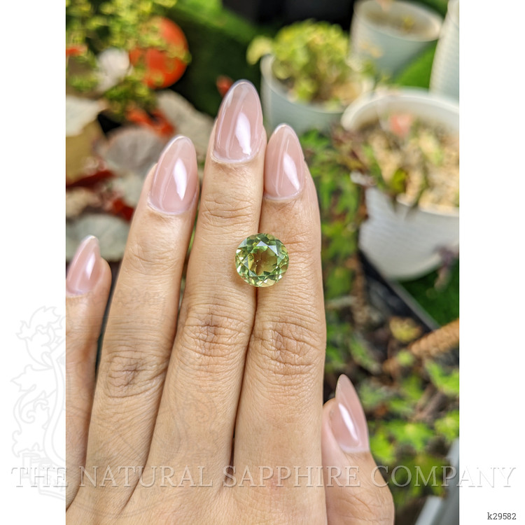 5.56 Ct. Yellowish Green Prasiolite from Brazil