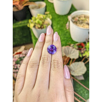 7.00 Ct. Purple Amethyst from Brazil Life Style