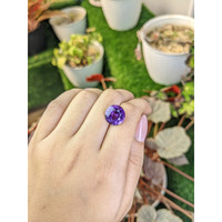 7.00 Ct. Purple Amethyst from Brazil Life Style
